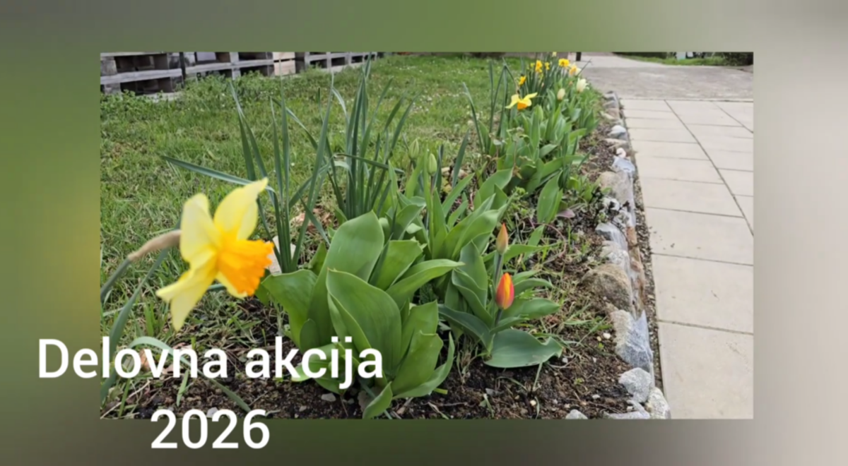 Zafsfesfjeta-slika-980x539