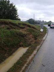 IMG_20190728_173146_resized_20190729_105845256