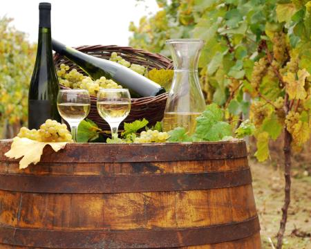 vinski sod