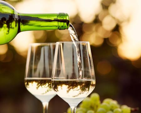 mlado vino